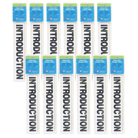 Flipside Science Fair Project Titles, Black, 13 Pieces, PK12 20060